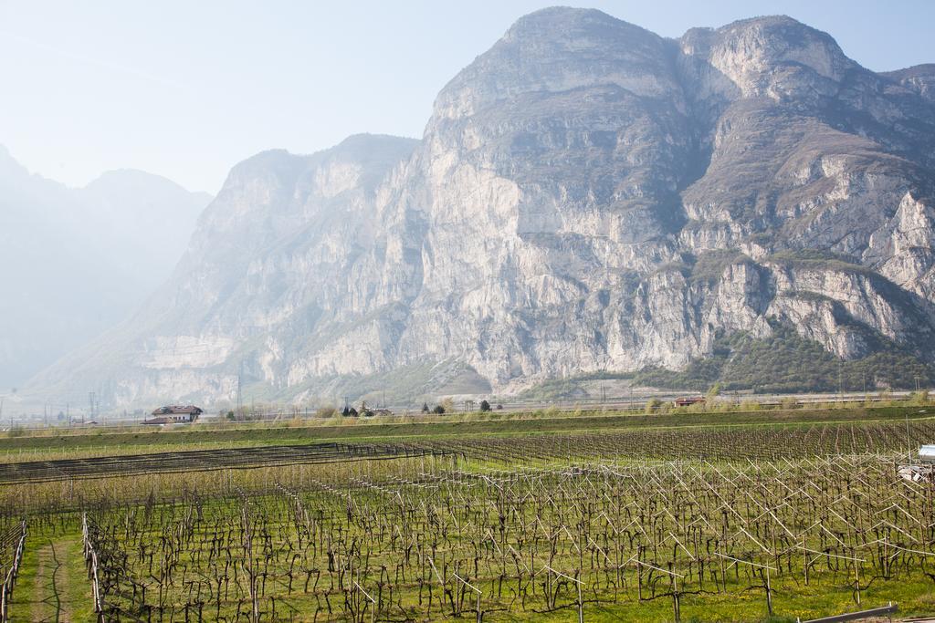 Hotel Comfort Erica Dolomiti Val D'Adige 萨洛尔诺 外观 照片